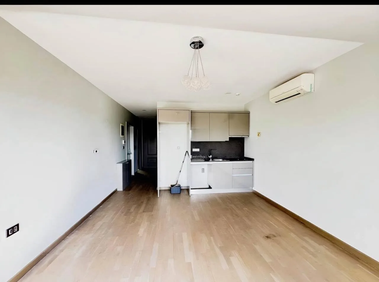 Lower-floor living room and kitchen