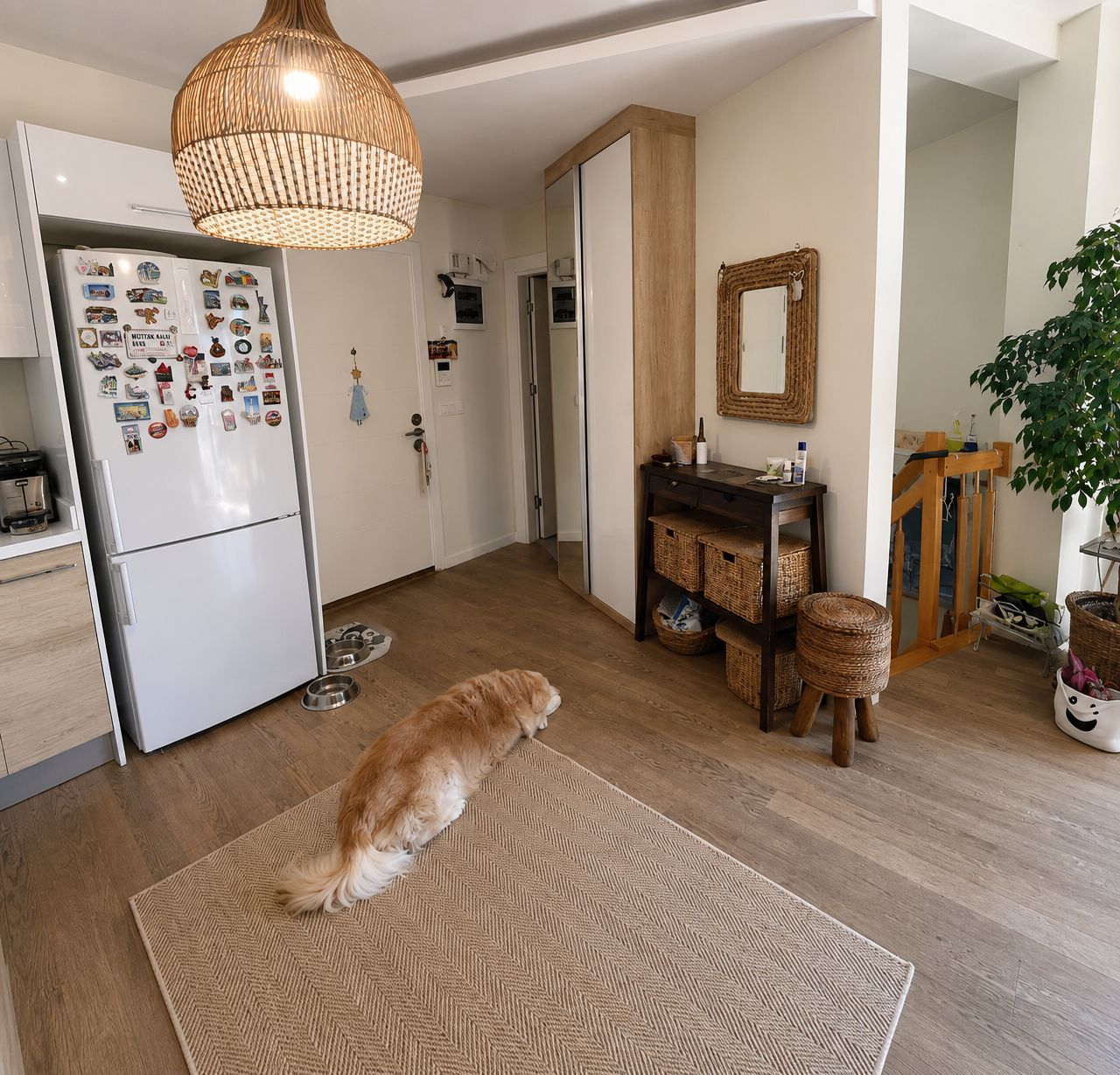 Gallery image 9